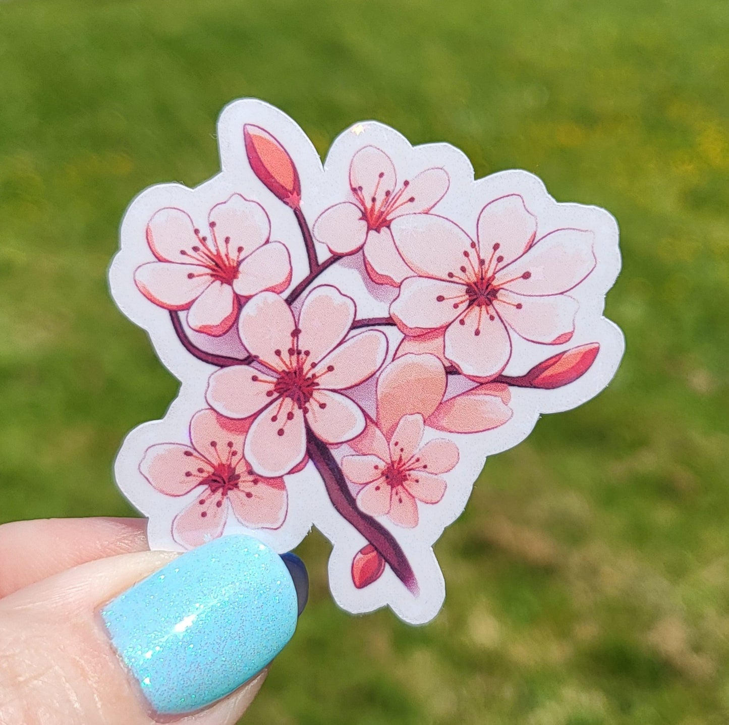 Sticker branche sakura